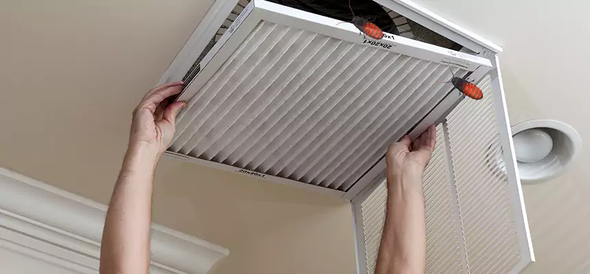 Preventive Cockroach-Proofing for Ducts in Highland