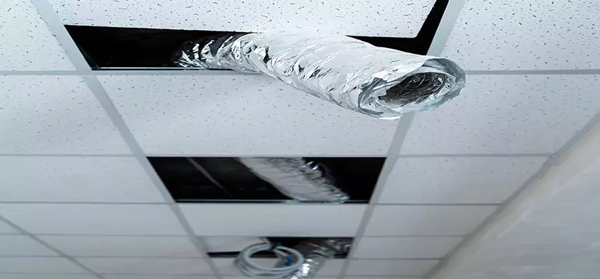 Our Air Duct Pet Hair Removal Services in Highland, UT