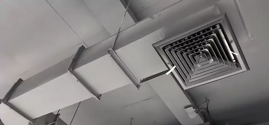 Our Pest Removal From Ducts Services in Highland, UT