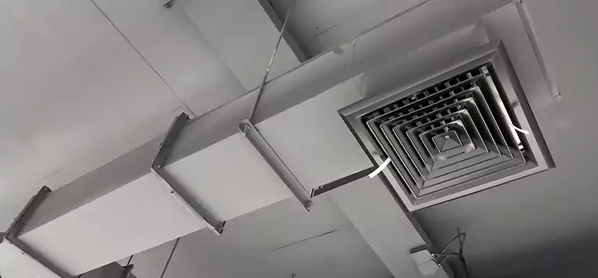 Our Rodent Droppings In Vents Services in Highland, UT