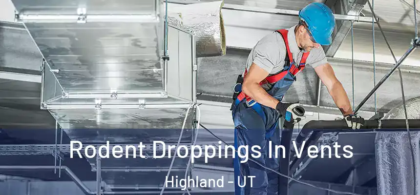  Rodent Droppings In Vents Highland - UT