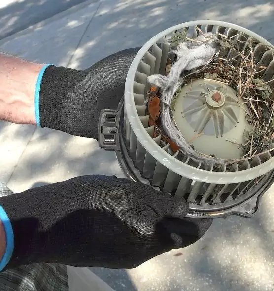 About Air Duct Rat Removal in Highland, UT